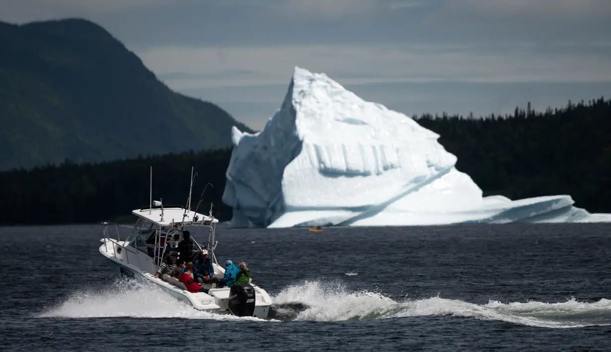 Kapal pariwisata menuju gunung es terapung di King's Point, Newfoundland, Kanada, 5 Juli 2019. Wisata gunung es terapung menyumbang hampir 570 juta dolar Kanada atau sekitar 389 juta euro untuk ekonomi lokal. (Johannes Eisele/AFP)