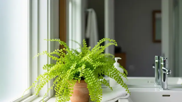 Pakis kancing lemon di kamar mandi (Image by Gemini AI)