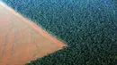 Pantauan udara hutan hujan Amazon yang berbatasan dengan lahan gundul disiapkan untuk penanaman kedelai, Negara Mato Grosso di barat Brasil, Minggu (4/10). Brasil akan menghasilkan rekor 97.800.000 ton kedelai di 2015-2016 (REUTERS/Paulo Whitaker)