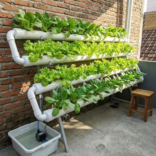 Kebun Mini Teras