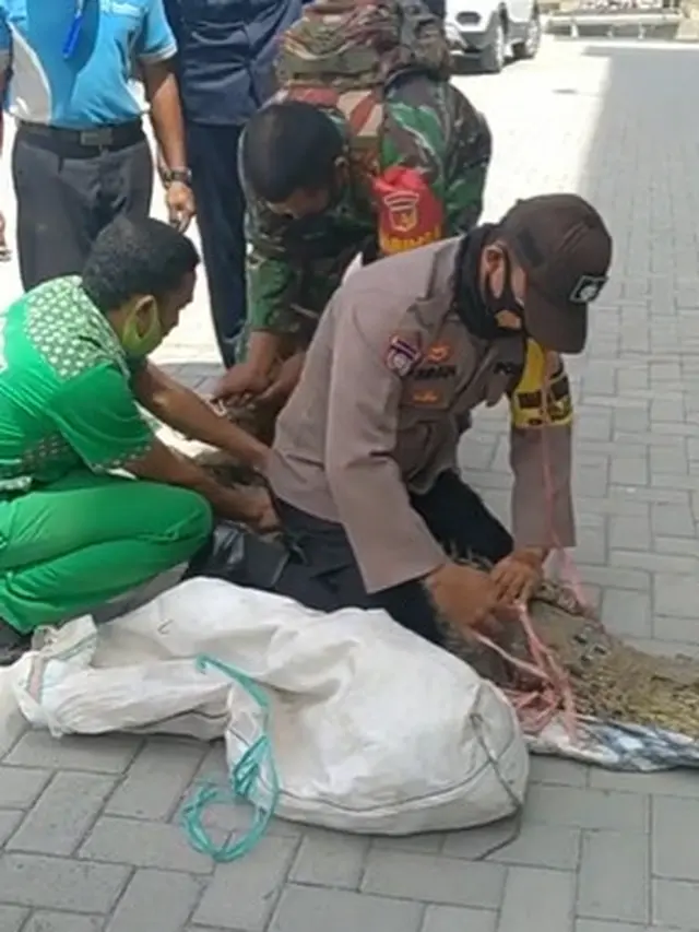 Viral Buaya Berkeliaran di Parkiran Mal, Bikin Geger Pengunjung