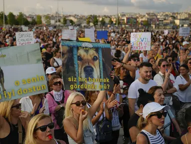 Orang-orang berbaris dalam protes menentang rancangan undang-undang yang disetujui oleh legislator Turki yang bertujuan untuk menyingkirkan anjing-anjing liar dari jalan-jalan di negara itu, di Istanbul, Minggu (1/9/2024). (AP Photo/Emrah Gurel)