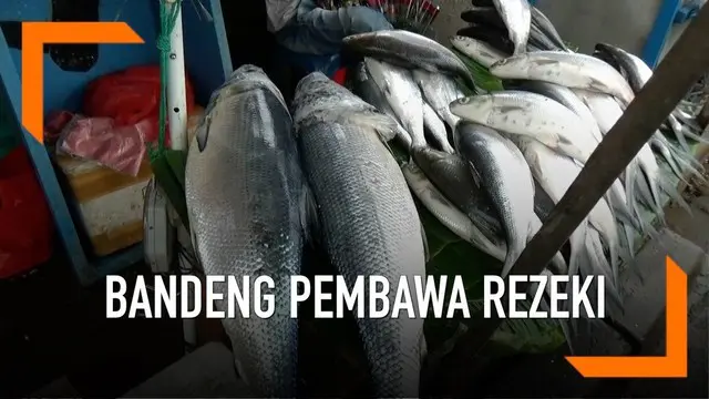 Imlek membawa rezeki bagi pedagang ikan bandeng di Rawa Belong, Jakarta Barat.