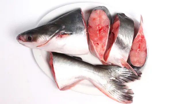 Trik Mudah Menghilangkan Bau Amis pada Ikan Patin, Wajib Dicoba di Rumah