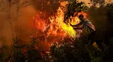 Seorang pria menggunakan ranting pohon untuk berupaya memadamkan kebakaran lahan gambut di Palangkaraya, Kalimantan Tengah, Kamis (22/10/2026). (REINA/AFP)