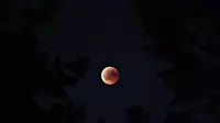 Gerhana Bulan Total atau Super Blood Moon berlangsung hari ini, 16 Mei 2022. Bisa disaksikan di Indonesia? (pexels/dids).