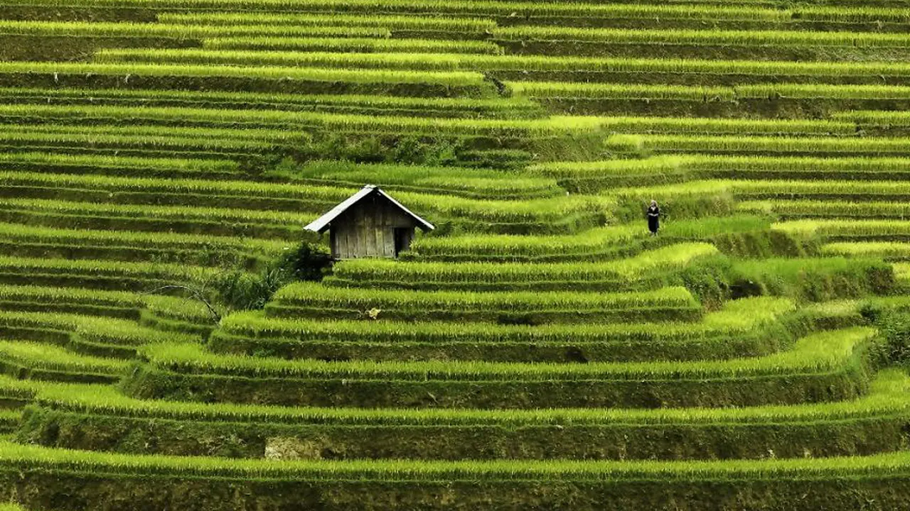 Vietnam
