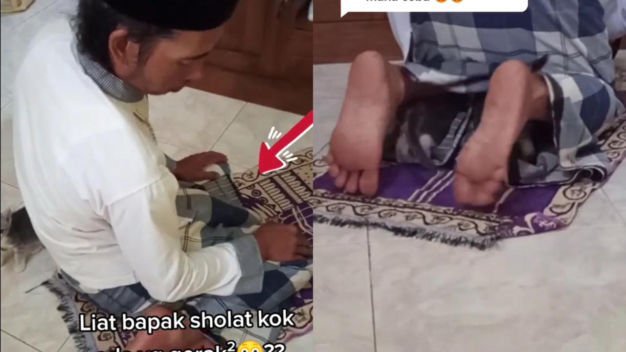 Ulah kucing masuk sajadah