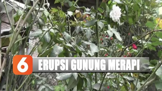 Usai Erupsi, Begini Penampakan Desa Sekitar Gunung Merapi