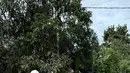 Saat ini jalan lintas dari dua arah (Kalimantan Timur-Kalimantan Selatan) yang melalui jembatan tidak bisa dilalui. (Dokumentasi Dinas Perhubungan Paser)
