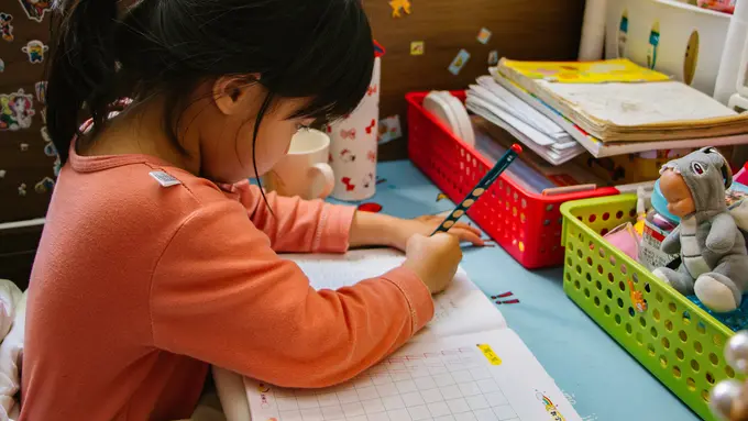 Kecerdasan Logis-Matematis