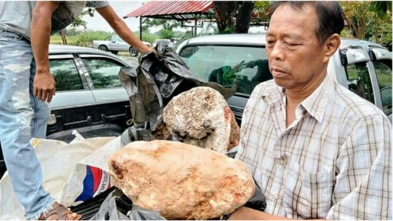 Mendadak Kaya, Nelayan Ini Temukan Muntah Paus yang Dibanderol Rp 141 Juta Perkilo
