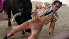 Seorang matador, Ivan Fandino ditanduk oleh banteng lawannya saat tampil dalam sebuah arena di Mont-de-Marsan, Prancis barat daya, Sabtu (17/6). Fandino tak kuasa menghindar dari tandukan banteng setelah tersandung kain jubahnya sendiri. (IROZ GAIZKA/AFP)