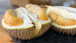 Arti Warna Duri pada Kulit Durian, Penanda Matang atau Varietas?