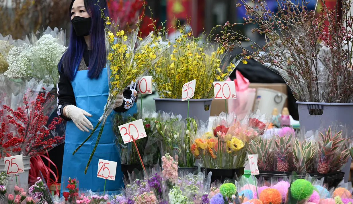 Seorang pedagang menata bunga pada hari pembukaan pasar bunga di Hong Kong (16/1/2023). Tahun Baru Imlek tahun ini jatuh pada tanggal 22 Januari 2023. (AFP/Peter Parks)