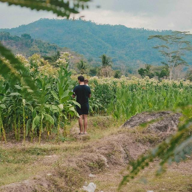 7 Potret Raisa dan Hamish Daud Liburan di Magelang, Nikmati Suasana Alam