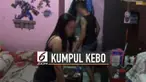 Salah satu pasal yang menjadi sorotan di RKUHP adalah tentang perzinahan. Pasal 419 RKUHP tertulis kumpul kebo atau tinggal satu atap seperti suami istri. Tanpa ikatan pernikahan akan terkena ancaman pidana.