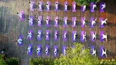 Foto yang diabadikan menggunakan drone pada 30 Agustus 2020 ini menunjukkan orang-orang berlatih yoga di ruang terbuka di Wilayah Jianhe, Provinsi Guizhou, China barat daya. (Xinhua/Yang Wenbin)