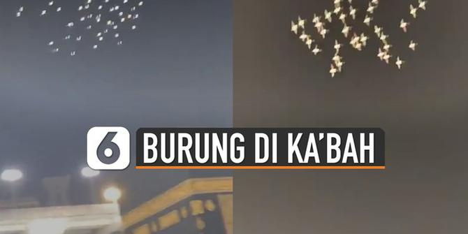 VIDEO: Viral Kawanan Burung Terbang Mengelilingi Ka'bah