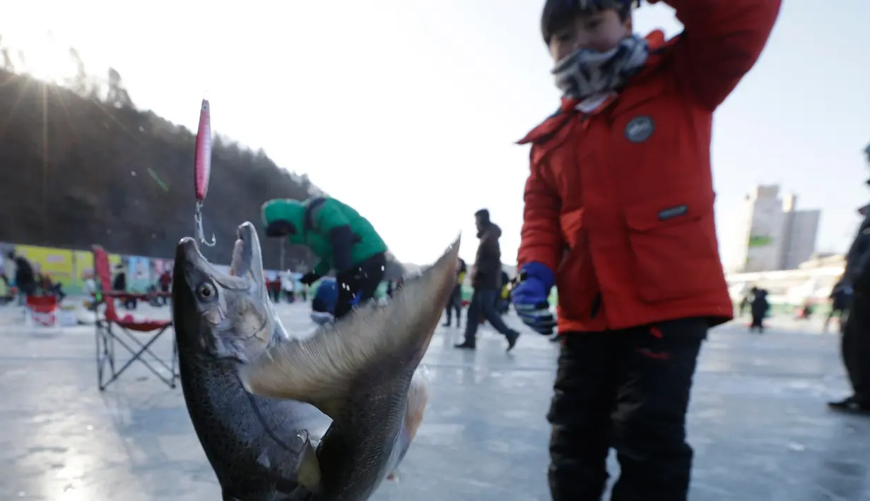Peserta memperlihatkan ikan hasil tangkapannya saat acara Festival Es di sungai Hwacheon yang membeku di Korea Selatan, Sabtu (14/1). (AP Photo/Ahn Young-joon)