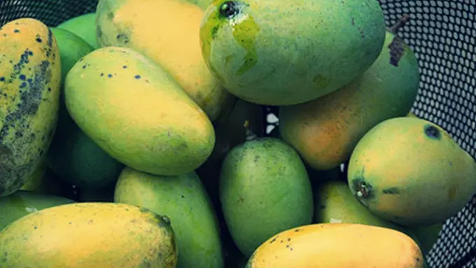 Foto: copyright shutterstock.com