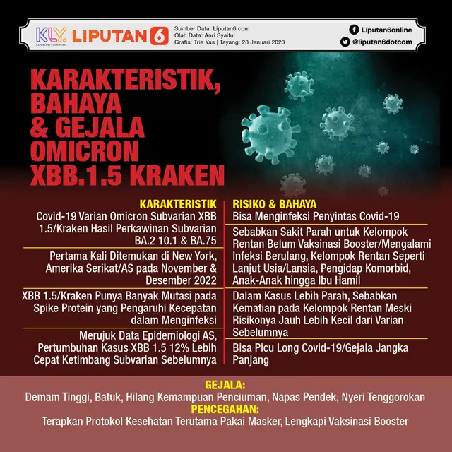 Infografis Karakteristik, Bahaya dan Gejala Omicron XBB.1.5 Kraken. (Liputan6.com/Trieyasni)