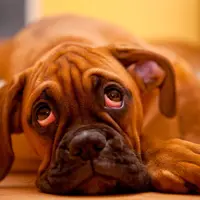 Tahukah kamu kesedihan paling duka dalam hidup?