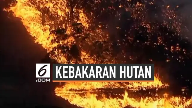 VIDEO: Kebakaran Hutan Australia, Ratusan Warga Dievakuasi
