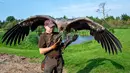 Peter Wenzel melatih burung condor muda bernama Molina di Eagle Reserve, Bindslev, Denmark, 27 Agustus 2019. Molina dilatih setiap hari oleh Peter Wenzel yang dia anggap orangtuanya. (Henning Bagger/Ritzau Scanpix/AFP)
