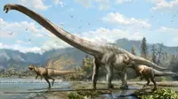 Lehernya saja sangat panjang mencapai 25 kaki atau 7,6 meter, hampir setengah dari panjang tubuh si dinosaurus. (Fox News)