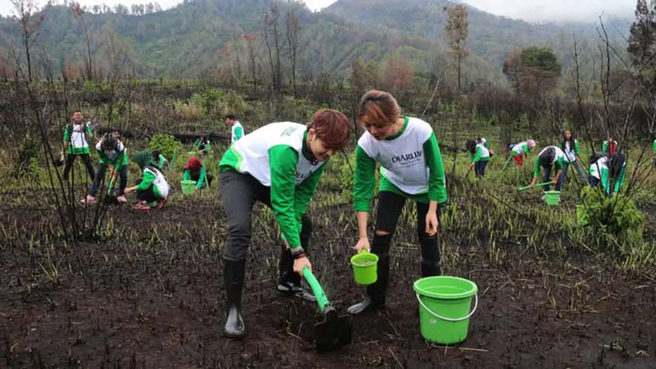 Djarum Foundation Tanami Kembali Lahan Terbakar di Ijen