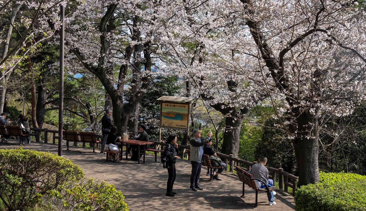 Taman-taman di Tokyo, seperti Ueno, Shinjuku Gyoen, dan Sumida Park menjadi pusat perhatian dengan ribuan pohon. Tampak dalam foto, orang-orang memotret bunga sakura di sebuah taman di Tokyo pada Senin 30 Maret 2026. (Yuichi YAMAZAKI/AFP)