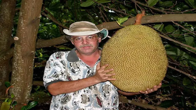 6 Foto Sayuran dan Buah Terbesar yang Pernah Tumbuh di Bumi