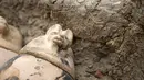 Di dalam bengkel tersebut, para arkeolog menemukan pot-pot tanah liat dan benda-benda lain yang tampaknya digunakan untuk mumifikasi, serta bejana-bejana ritual. (AP Photo/Amr Nabil)