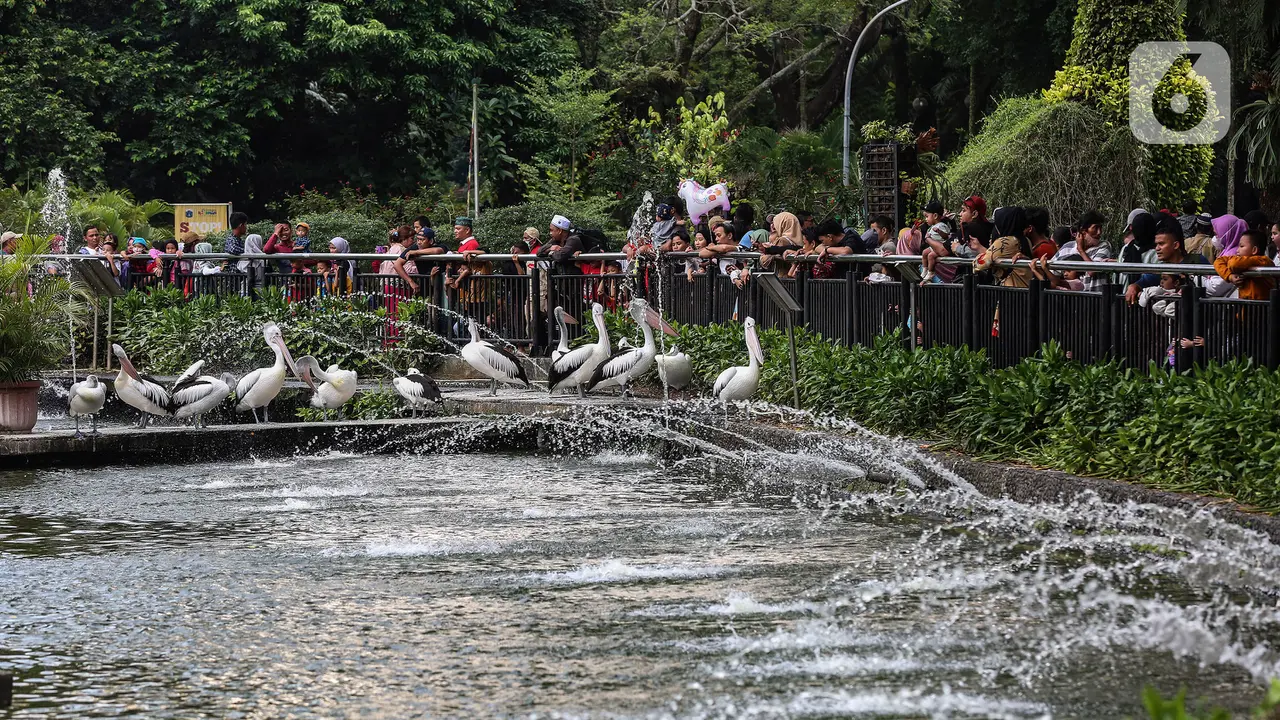 Libur Lebaran 2023, Pengunjung Taman Margasatwa Ragunan Membludak