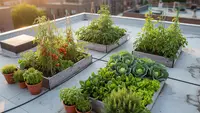 7 Ide Kebun Sayur di Dak Beton Rumah Tingkat, Panen Tanpa Halaman