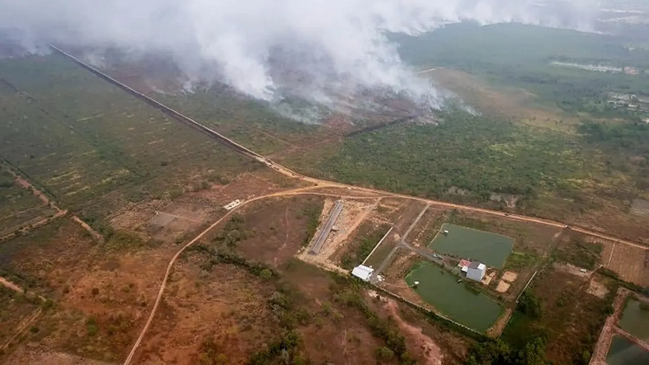 Kebakaran Hutan