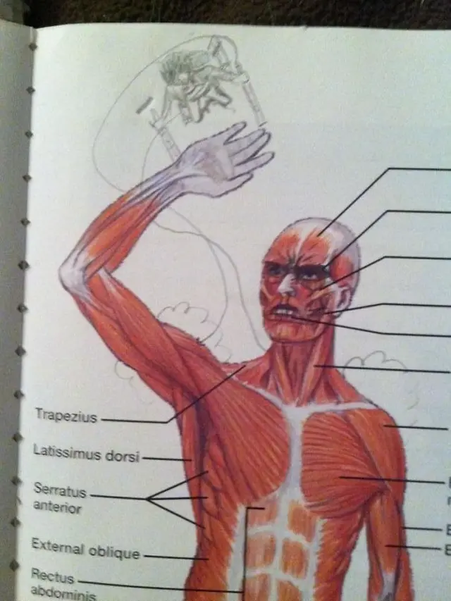 7 Gambar Nyeleneh Siswa di Buku Pelajaran Ini Kreatif Banget
