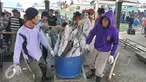 Nelayan membawa tangkapan ikan hiu hasil melaut ke pelelangan ikan, Karangsong, Indramayu, Jawa Barat, Kamis (16/6/2015). Meski sudah ada larangan perburuan dan perdagangan, nelayan setempat masih memperdagangkan sirip hiu. (Liputan6.com/Herman Zakharia)