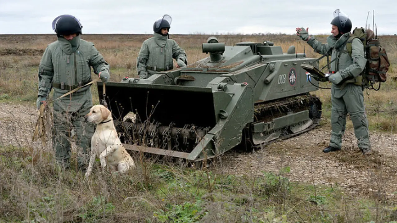 Tim pembersih ranjau dari korps zeni Rusia dengan seekor anjing yang dilatih untuk mendeteksi ranjau bersiaga di dekat sistem robot Uran-6 (RBTH Indonesia/Said Tsarnaev/Sputnik)