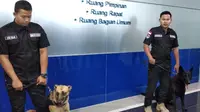 BNN Jabar gunakan anjing pelacak mengendus pergerakan penyelundupan narkotika. (Liputan6.com/Huyogo Simbolon)
