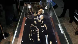 Fosil spesies Homo Naledi Hominin dipamerkan di Johannesburg, Afsel, Selasa (9/5). Tulang belulang tersebut pertama kali ditemukan pada 2013 oleh ilmuwan Universitas Witwatersrand di Cradle of Humankind, situs warisan dunia milik UNESCO.(AFP/GULSHAN KHAN)