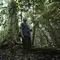 Upaya Konservasi Hutan: 9 Langkah Penting Memperingati Hari Hutan Indonesia