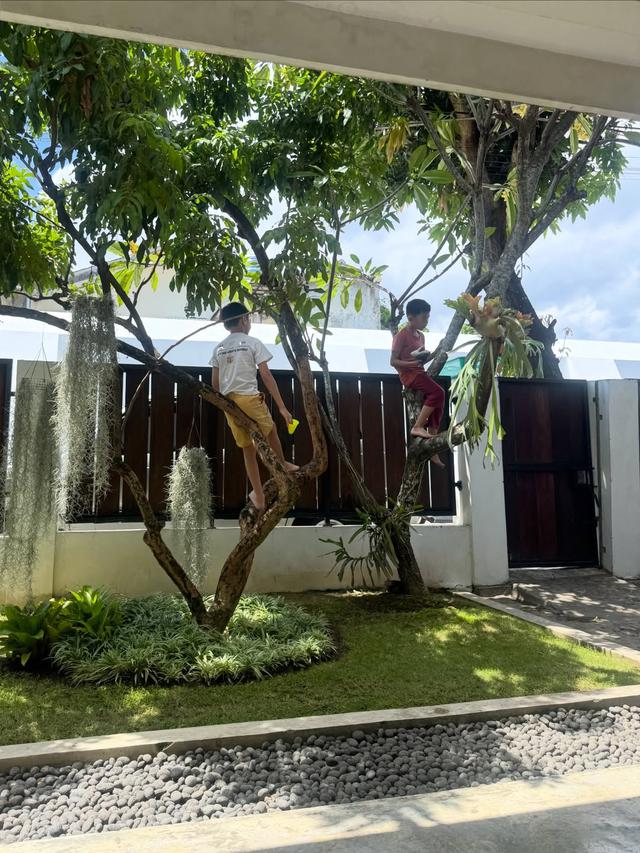 2. Taman Depan dengan Lansekap Batu Kali dan Pohon Teduh