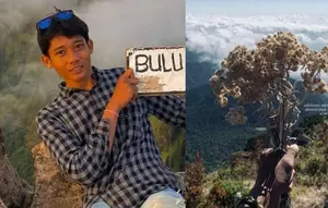 Nekat Petik Bunga Edelweis, Pendaki Gunung Lompobattang Kena Blacklist 10 Tahun