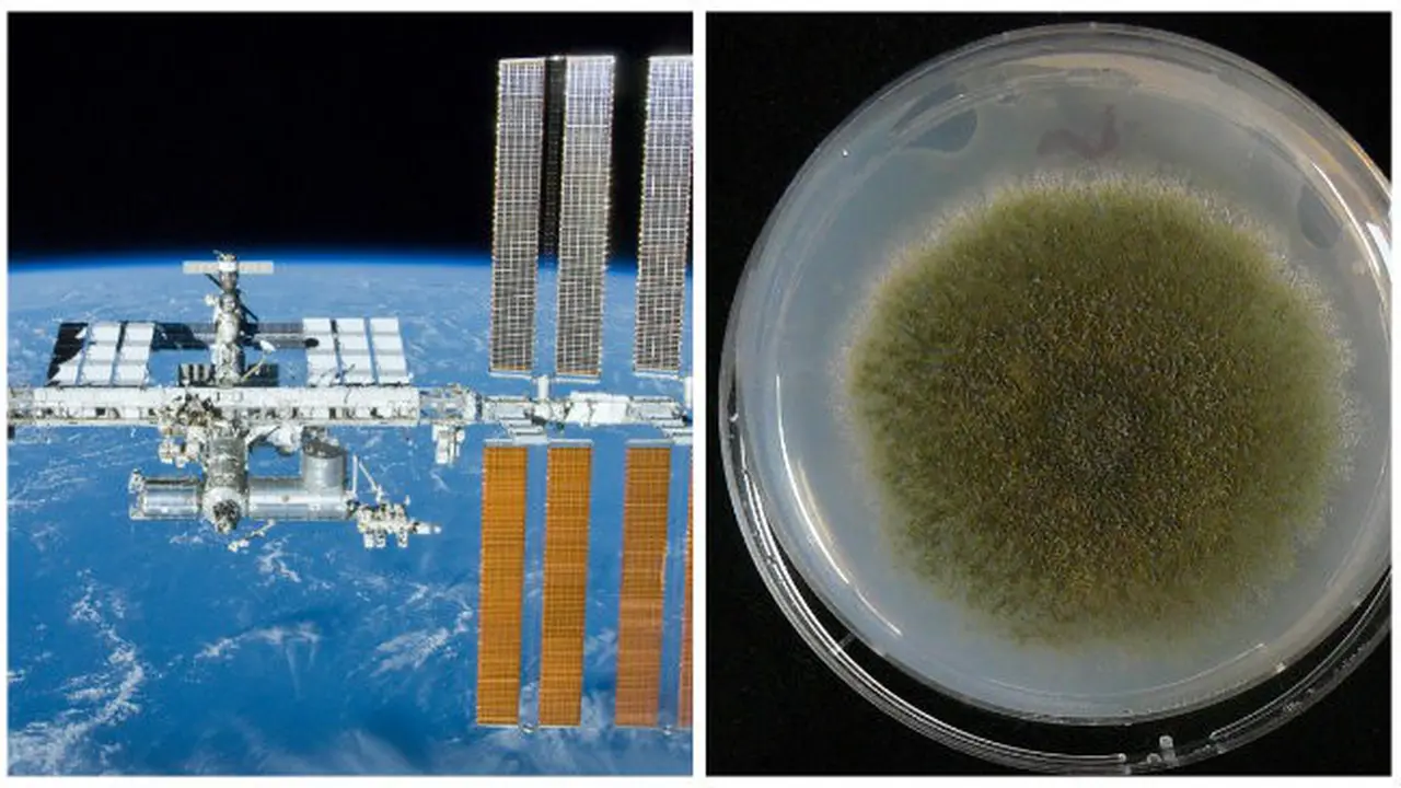 Sssst, NASA Sedang Mempersiapkan Obat Super Ini