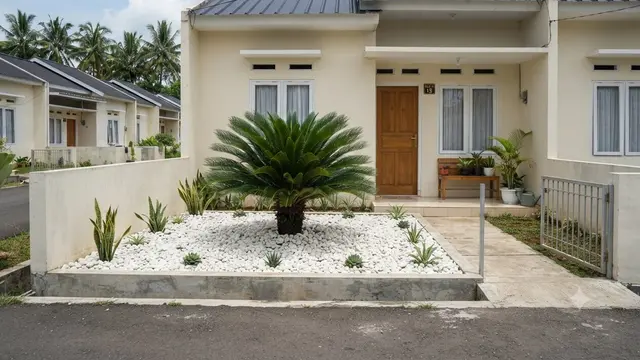 Rekomendasi Tanaman untuk Taman Kering di Rumah Subsidi