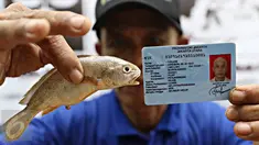 Nelayan menunjukkan bukti ikan dan KTP di Lembaga Bantuan Hukum (LBH) Jakarta, Selasa (19/4). Hal itu dilakukan setelah mereka diragukan Gubernur DKI Jakarta Basuki Tjahaja Purnama "Ahok" ikut dalam penyegelan Pulau G. (Liputan6.com/Immanuel Antonius)
