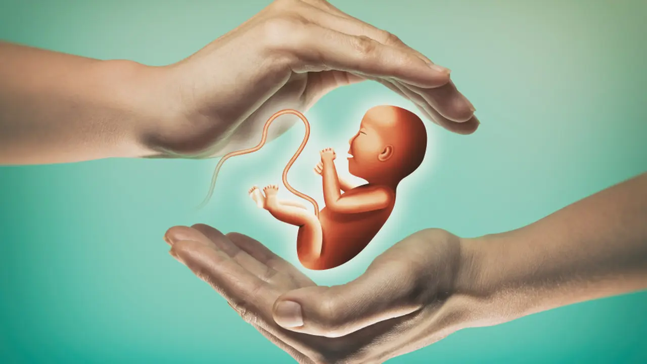 Ilustrasi kehamilan