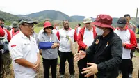 Komunitas muda yang tergabung dalam Papua Muda Inspiratif (PMI) binaan Badan Intelijen Negara (BIN) memberdayakan sekitar 120 orang warga untuk bekerja di lahan jagung. (Istimewa)